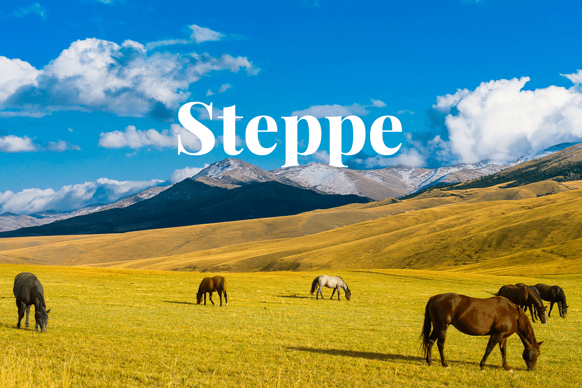 The Role of Steppe Ecosystems in Kazakhstans Agricultural Industry_visuals 1