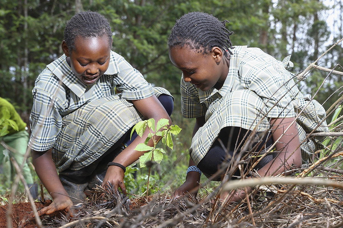 The Triple Bottom Line  balancing profit, people, and the planet_Two pupils from a local school during a tree planting training_visual 6