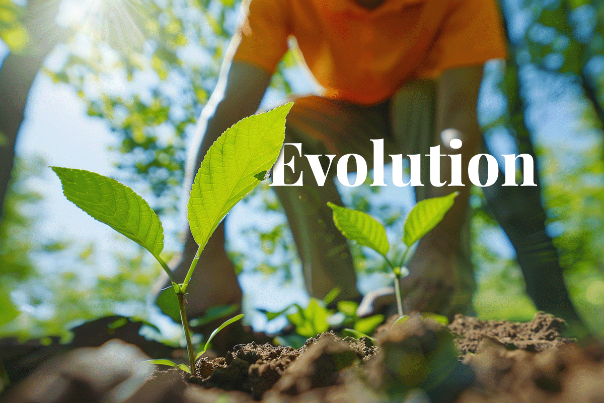 The evolution of voluntary carbon markets_View from below of tree seedlings in a forest and a man in the background_visual 1