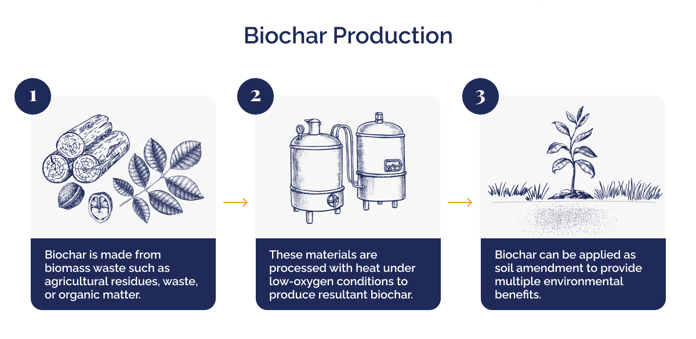 The feasibility stage of our biochar project_Biochar production illustration_visual 2 (1)