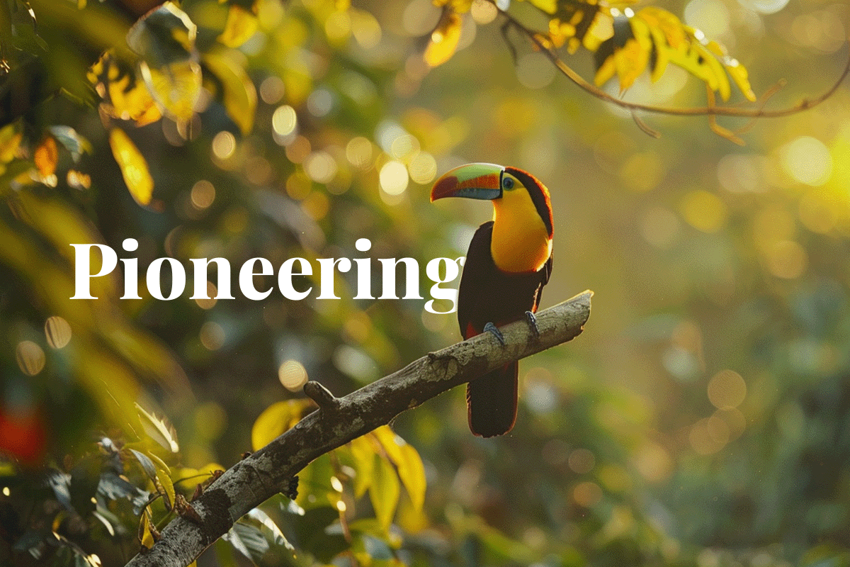 The next step in ecosystem conservation_ pioneering nature stewardship credits in 2025_Toucan sitting on a tree in a Brazilian forest_visual 1