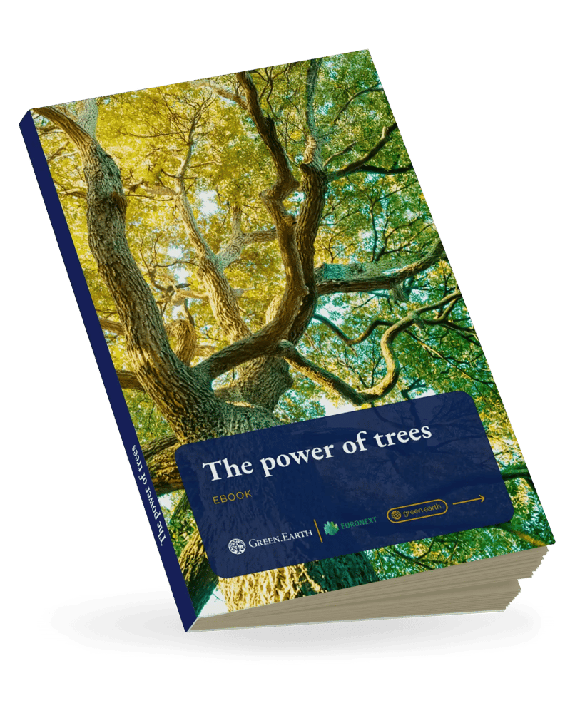 The power of trees EN