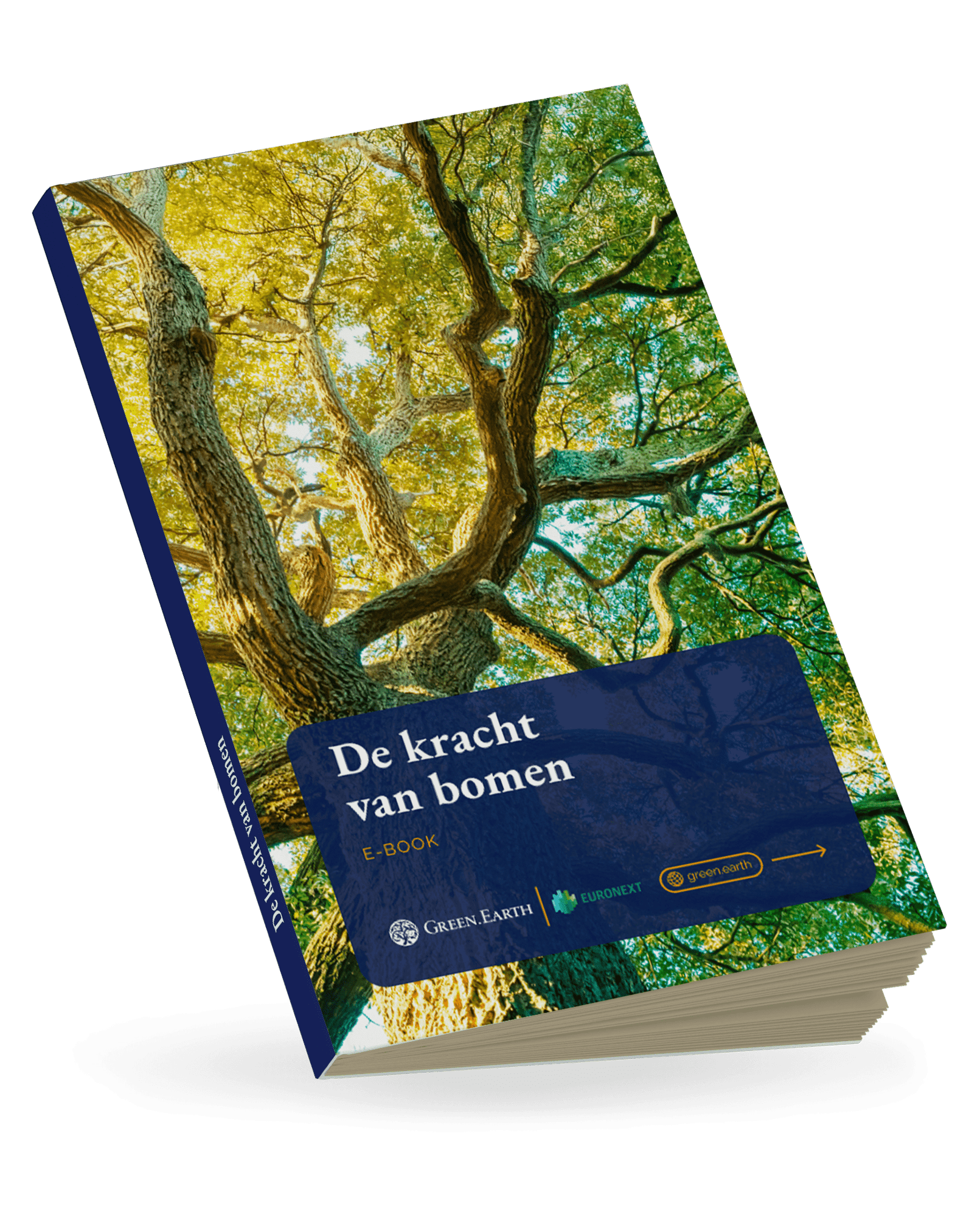 The power of trees NL