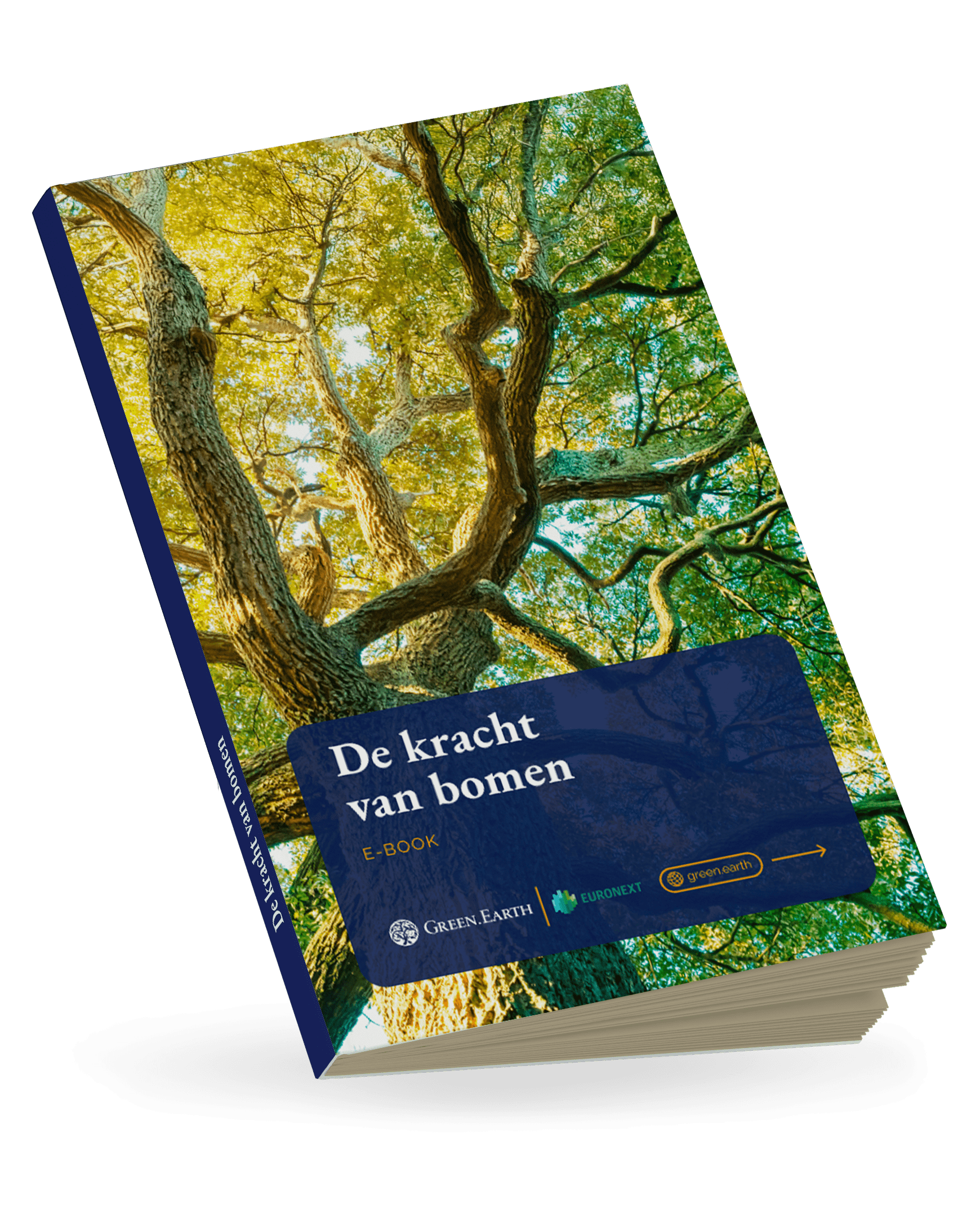 The power of trees NL