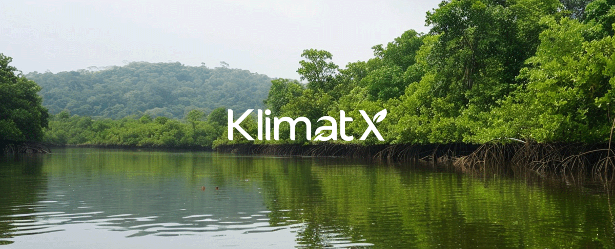 The public companies transforming sustainability_Mangroves ecosystem of Sierra Leone_visual 4