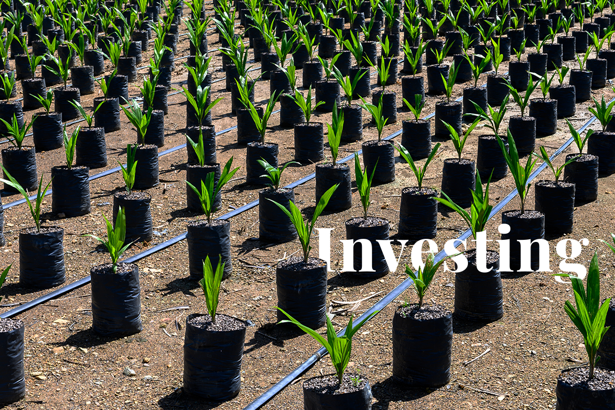 The rise of carbon footprint measurement in corporations_visual 1