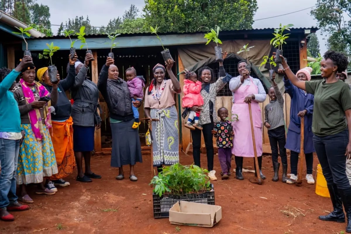 The social impact of our projects_A DGB team member and local community members during the distribution of tree seedlings in Kenya_visual 5