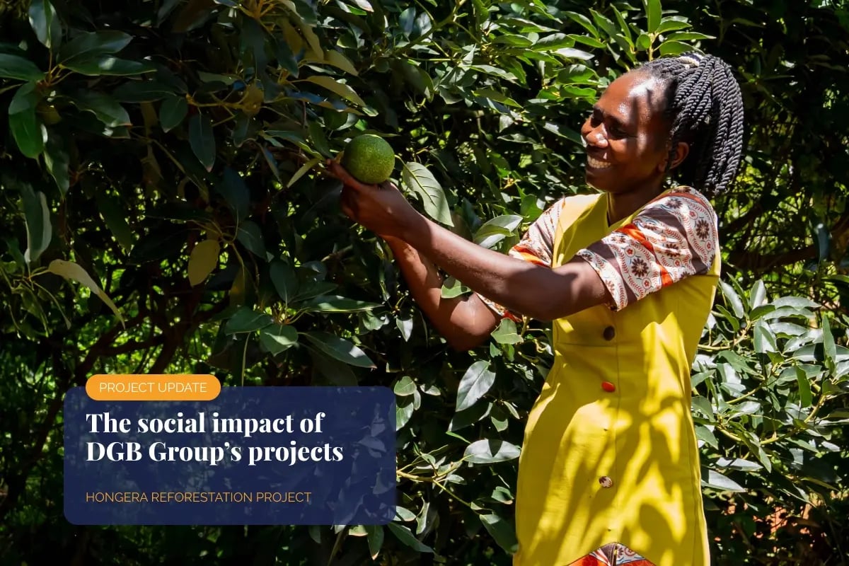 The social impact of our projects_A woman from the local community inspecting an avocado tree in the orchard_visual 1