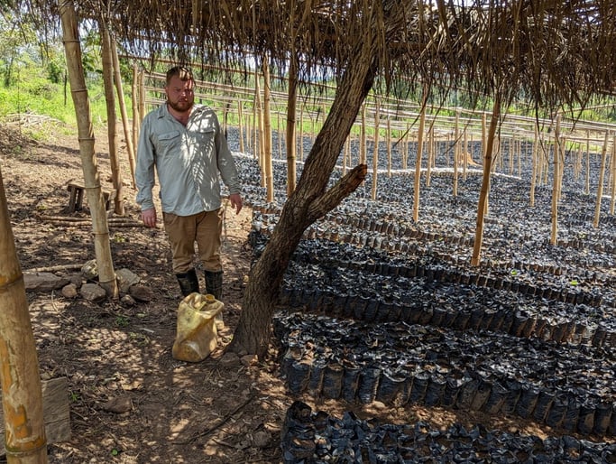 The tree nursery is expanding in cameroon!!-1