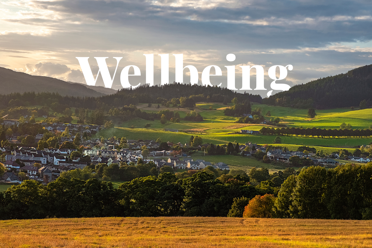 Thousands of trees to be planted in the UK to boost nature, health, and wellbeing