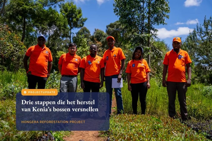 Three steps driving Kenya’s forest comeback_visual 1_NL