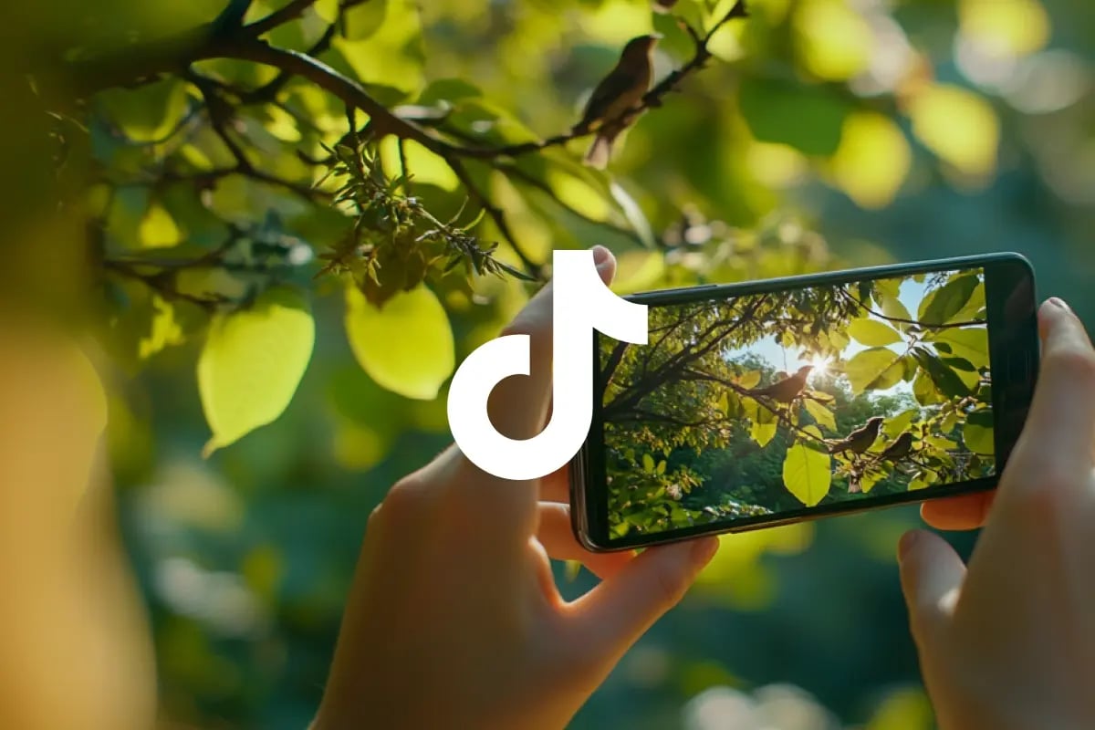 TikTok and sustainability_ navigating influence, impact, and responsibility_cover