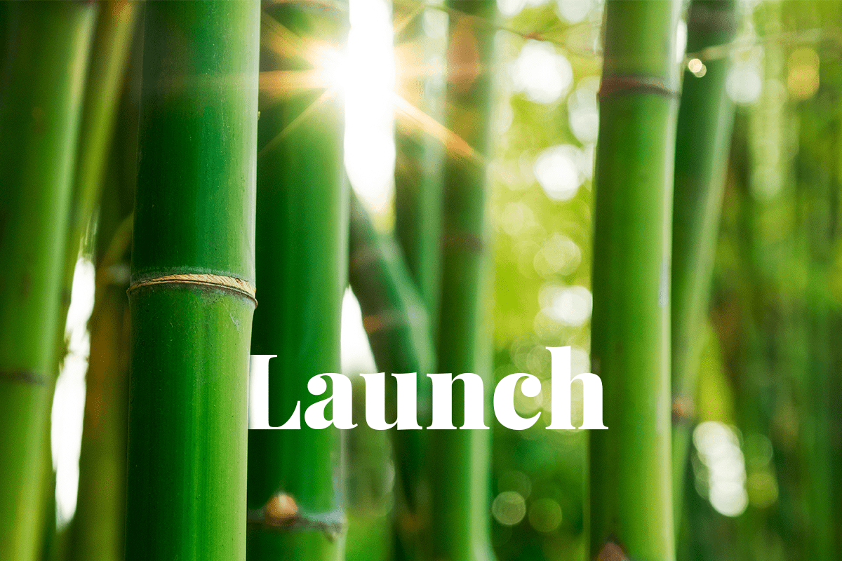 Tokyo Stock Exchange carbon trading_bamboo fields_Visual1