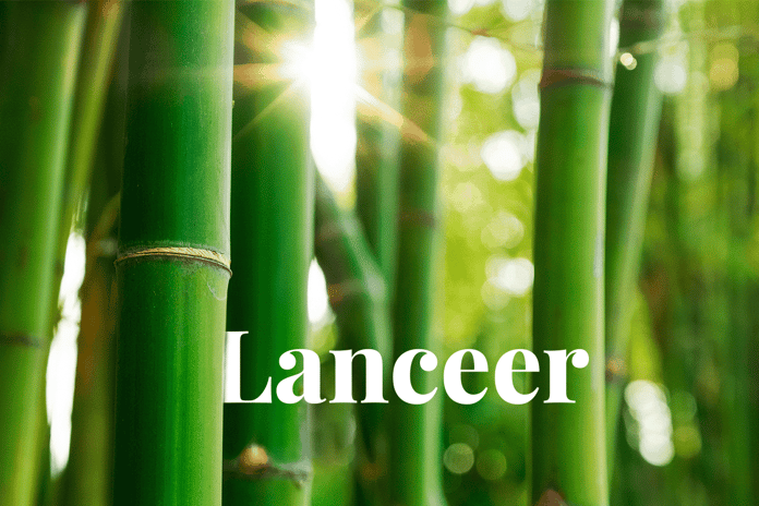 Tokyo Stock Exchange carbon trading_bamboo fields_Visual1_NL