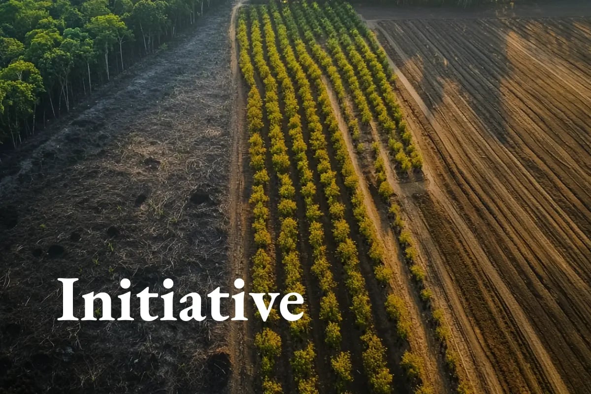 Trillion-dollar investor alliance calls for stronger global policies to stop deforestation_visual 1