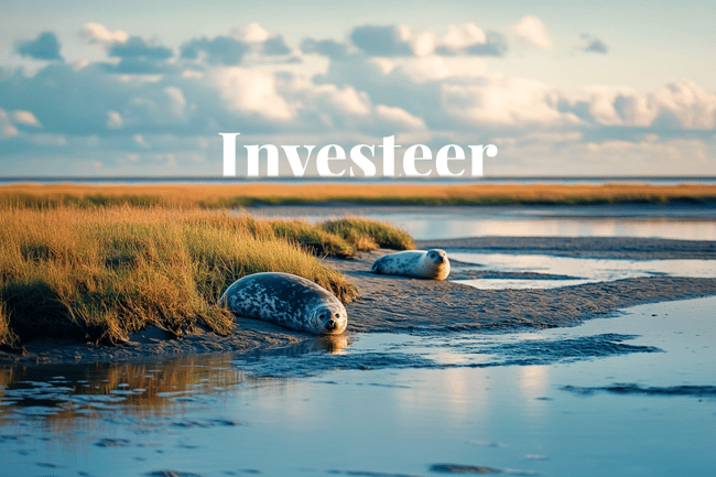 Triodos Bank pledges €500m to boost NBS by 2030_ Common seals basking in the serene Wadden Sea, a UNESCO World Heritage Site _visual 1_NL