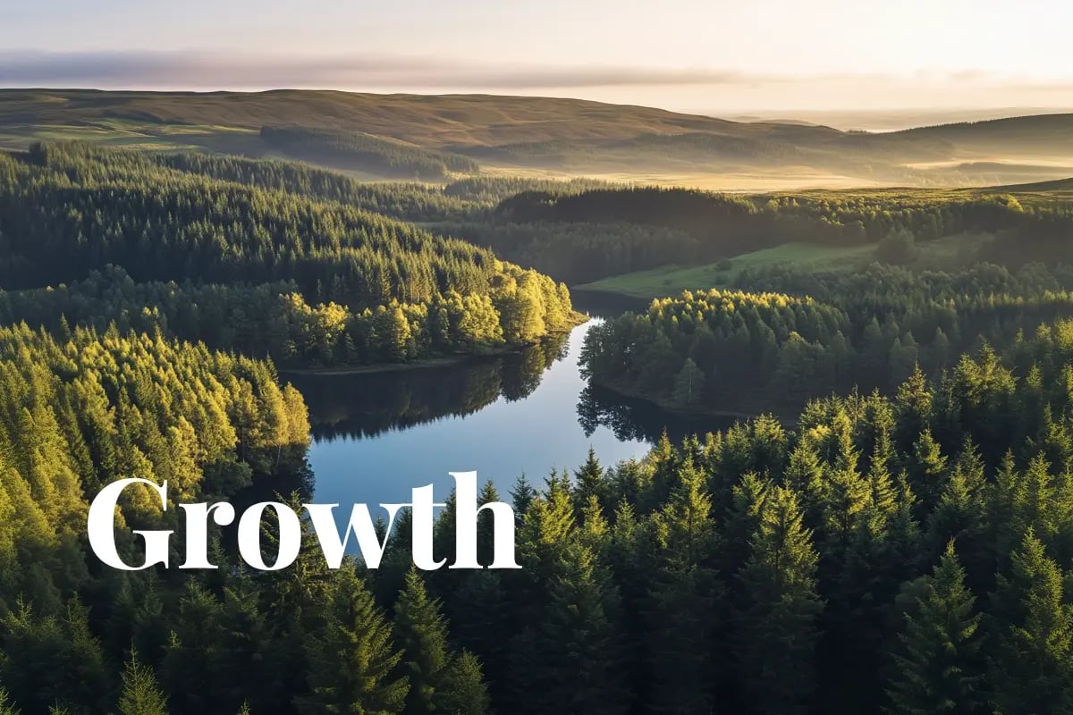 UK premium carbon credits projected to reach $672_tonne by 2050_ Kielder Forest, the UK’s largest planted forest_visual 1
