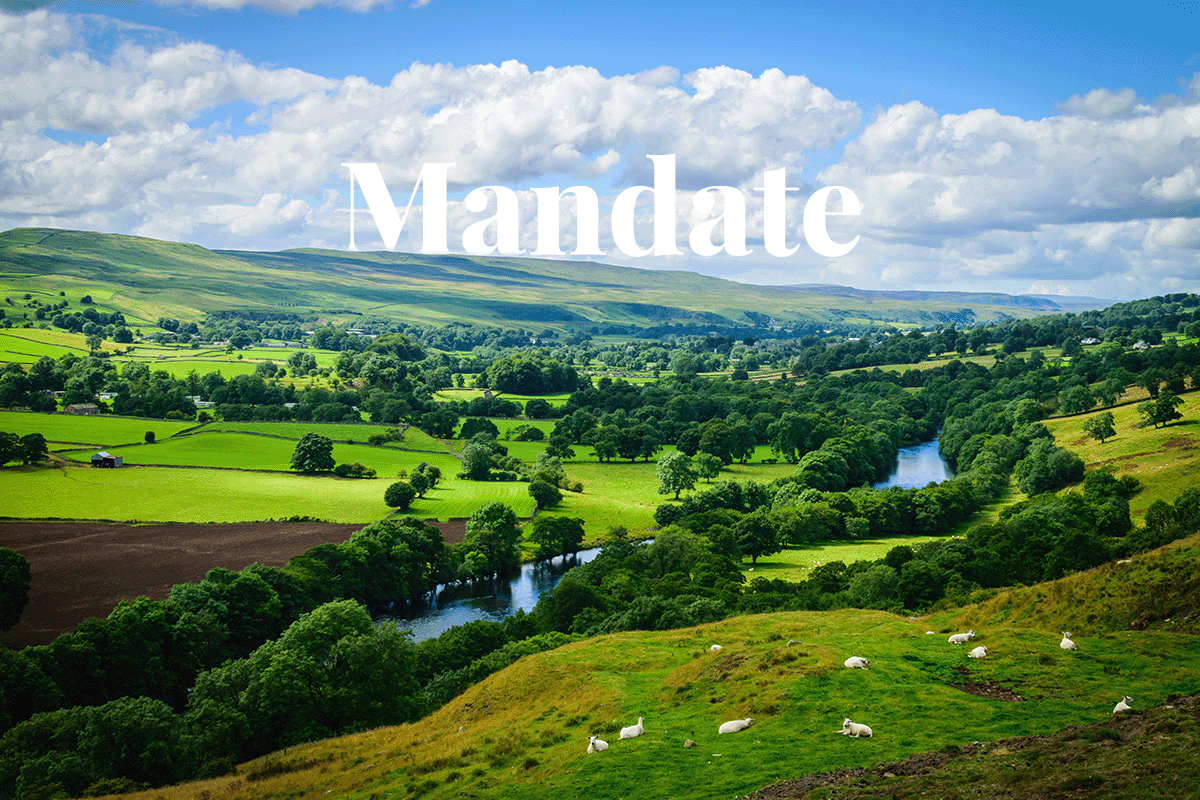 UKs biodiversity net-gain mandate takes root_ Landscape view of rural farmland in UK_visual 1