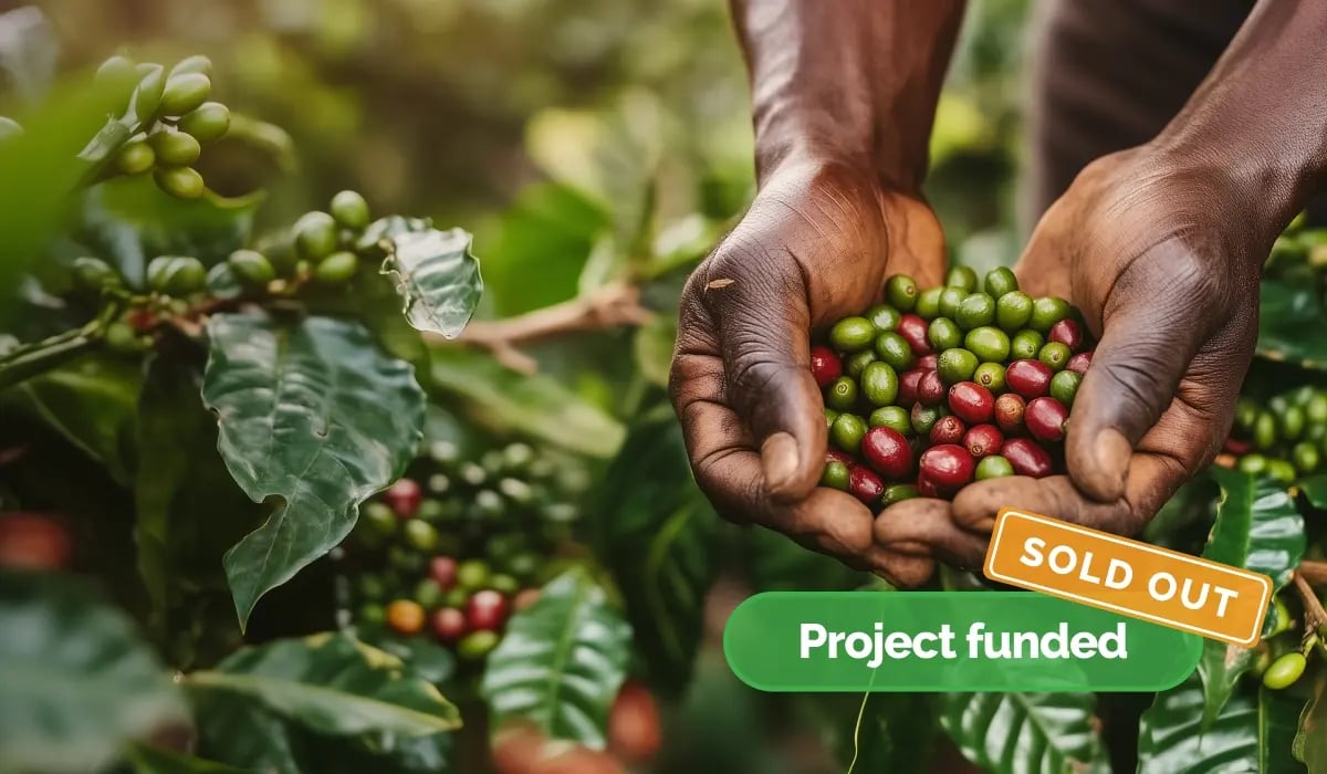 Uganda Coffee Growing Project