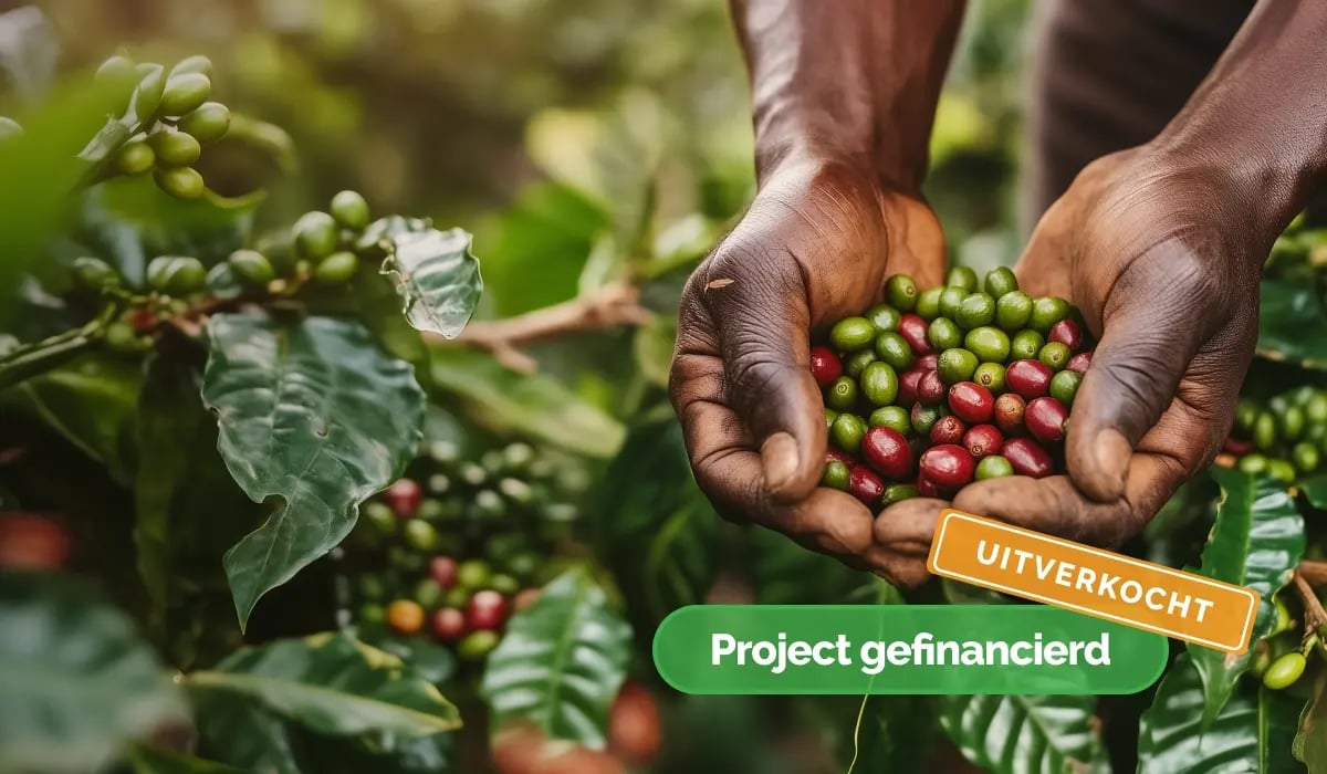 Uganda Coffee Growing Project