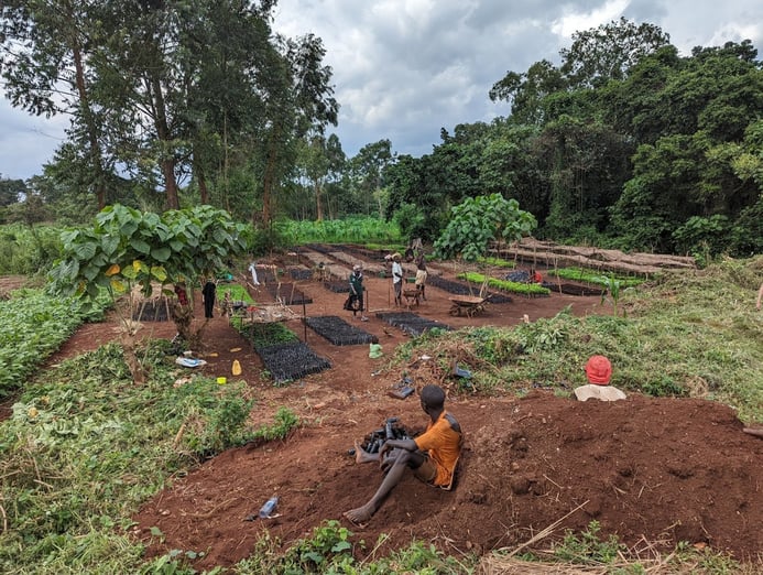 Uganda nature restoration project and its impact on local communities