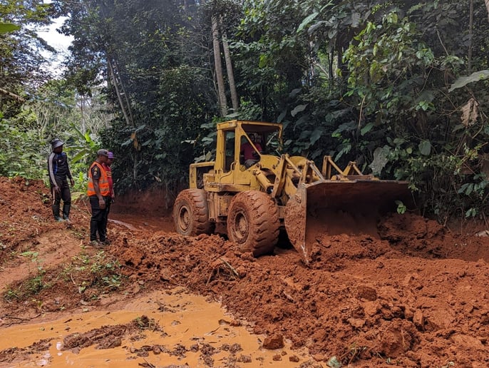 Uganda reforestation project essentials