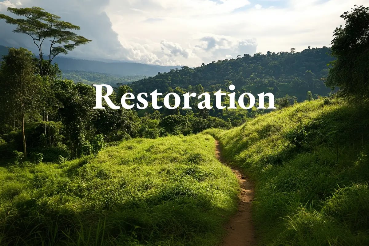 Uganda validates strategy to restore forests and boost carbon crediting_visual 1_EN
