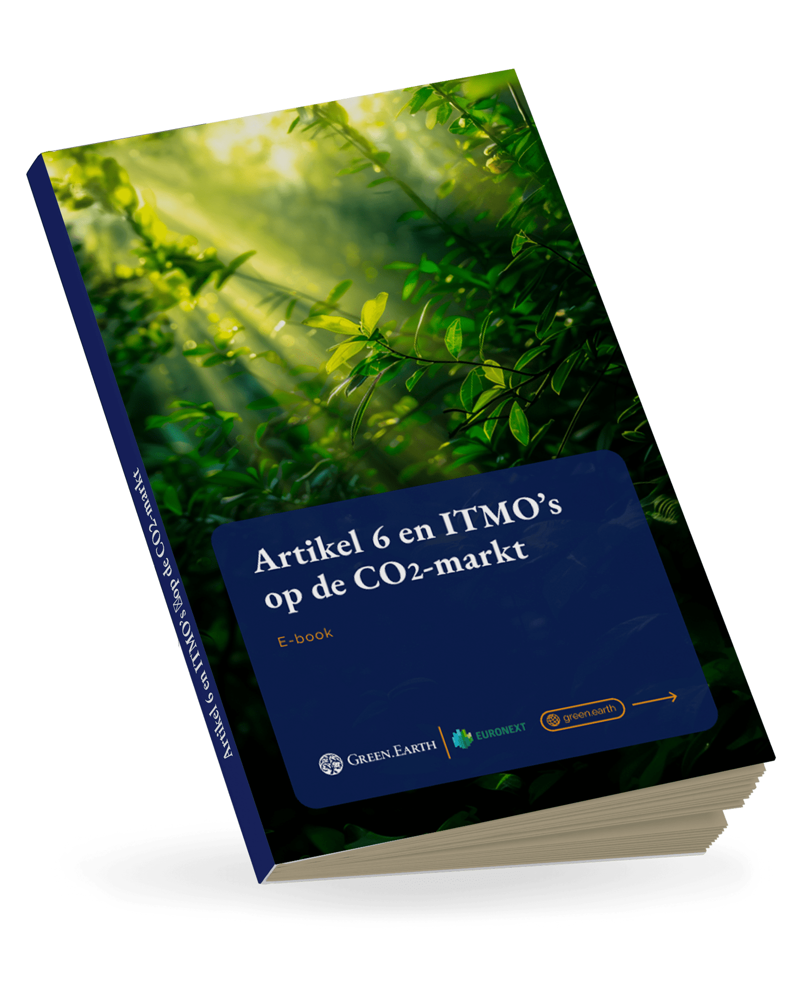 Understanding Article 6 NL