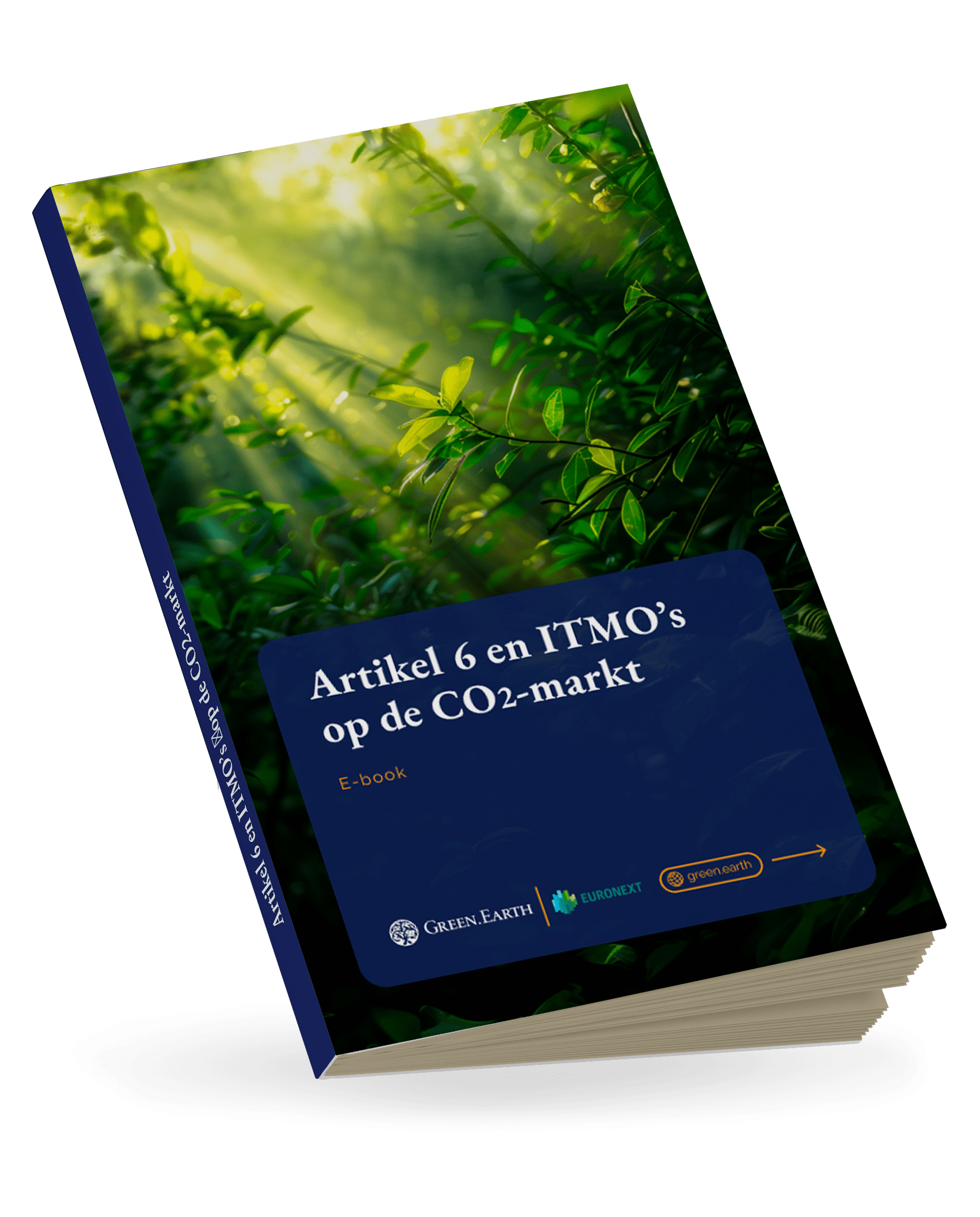 Understanding Article 6 NL