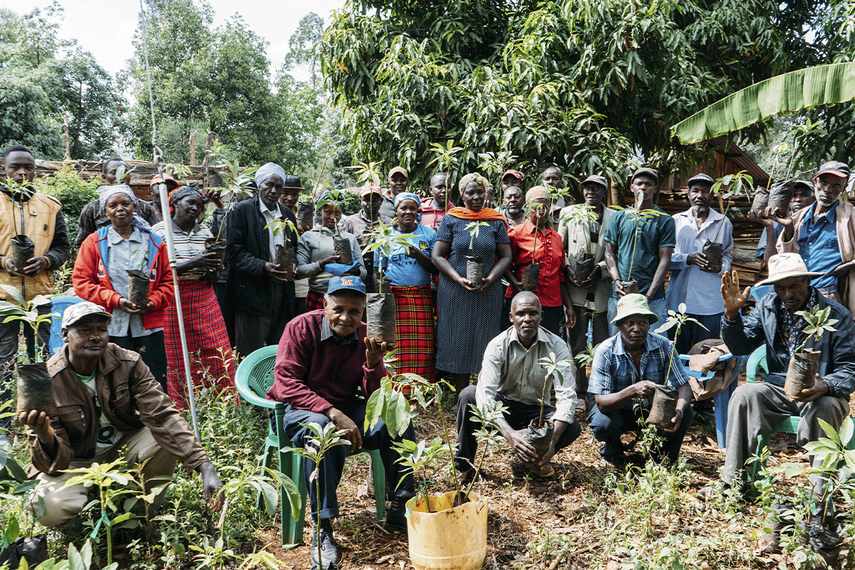 Unlocking carbon pricing_A group of locals participating in a seedling delivery_visual 8