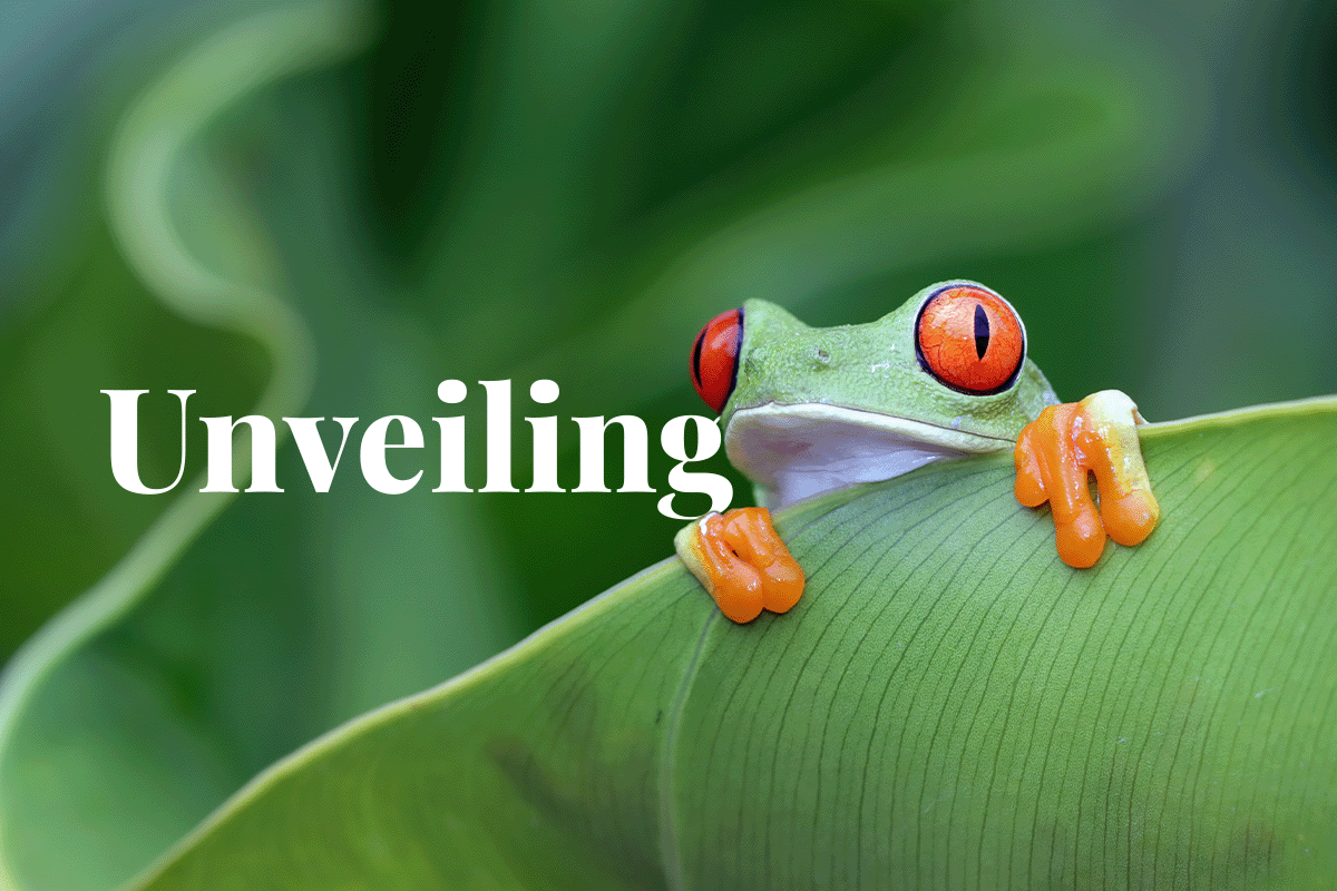 Unveiling hidden carbon footprints_Red-eyed tree frog sitting on a leaf_visual 1