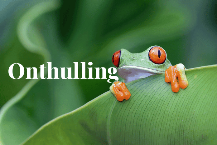 Unveiling hidden carbon footprints_Red-eyed tree frog sitting on a leaf_visual 1_NL