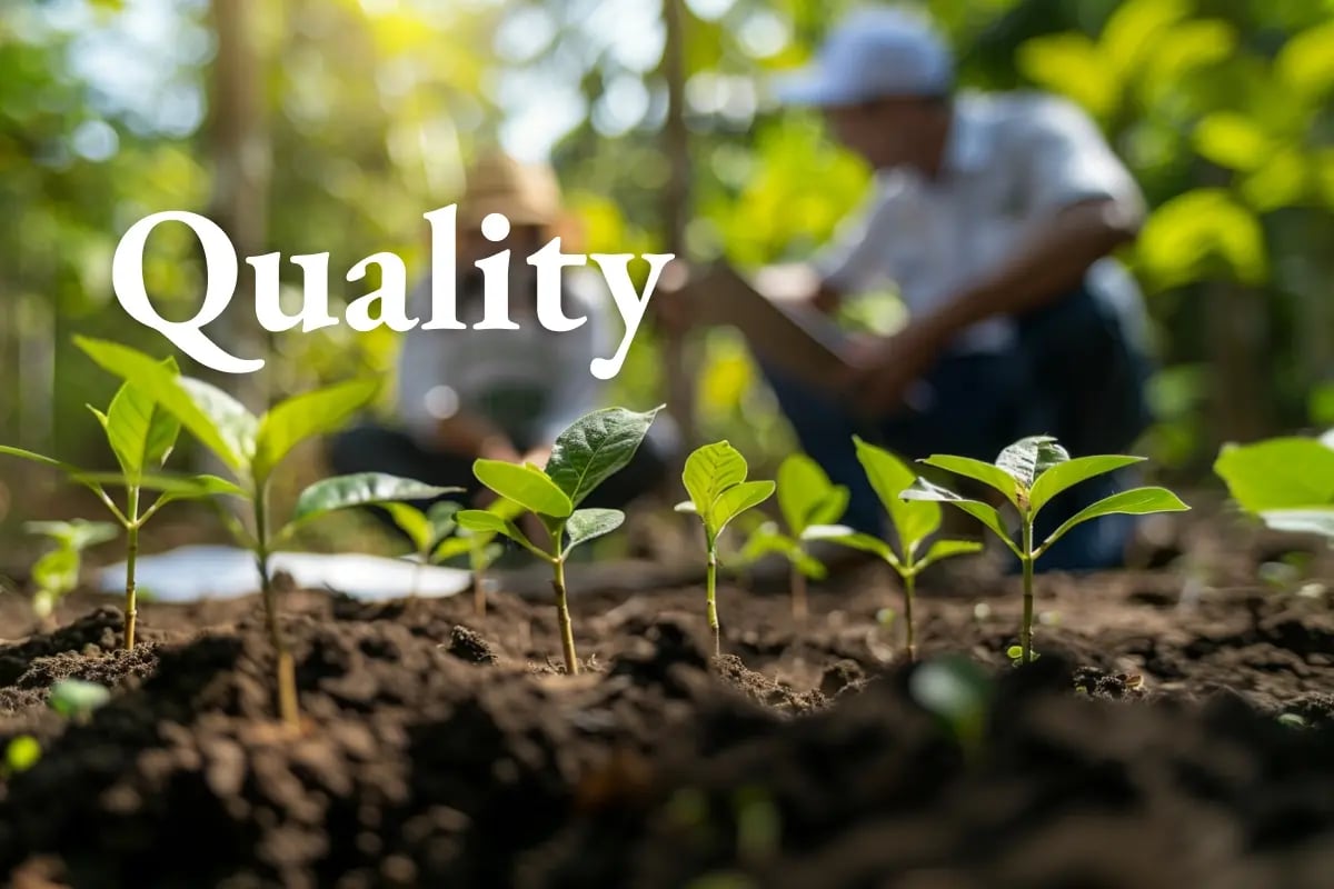 VCM prices diverge as integrity becomes the new currency_visual 1