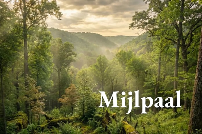 Verra sets a new standard for forest carbon credits_visual 1_NL