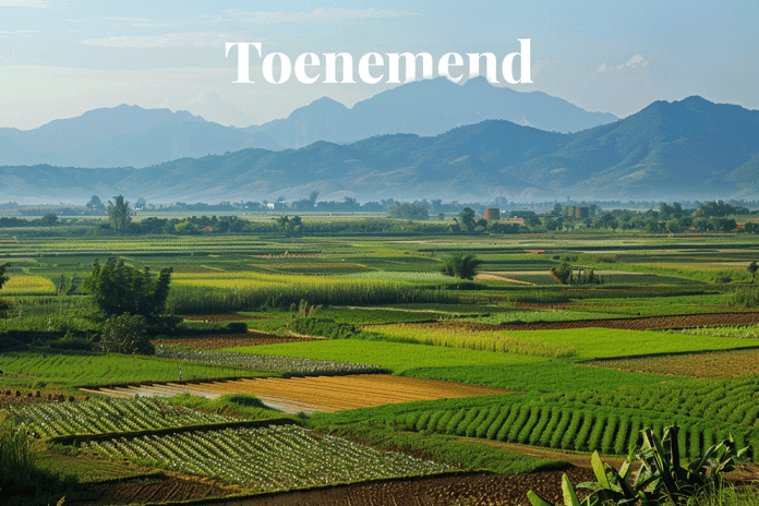 Vietnams green shift_ embracing carbon credits_Agricultural landscape of Vietnam_visual 1_NL
