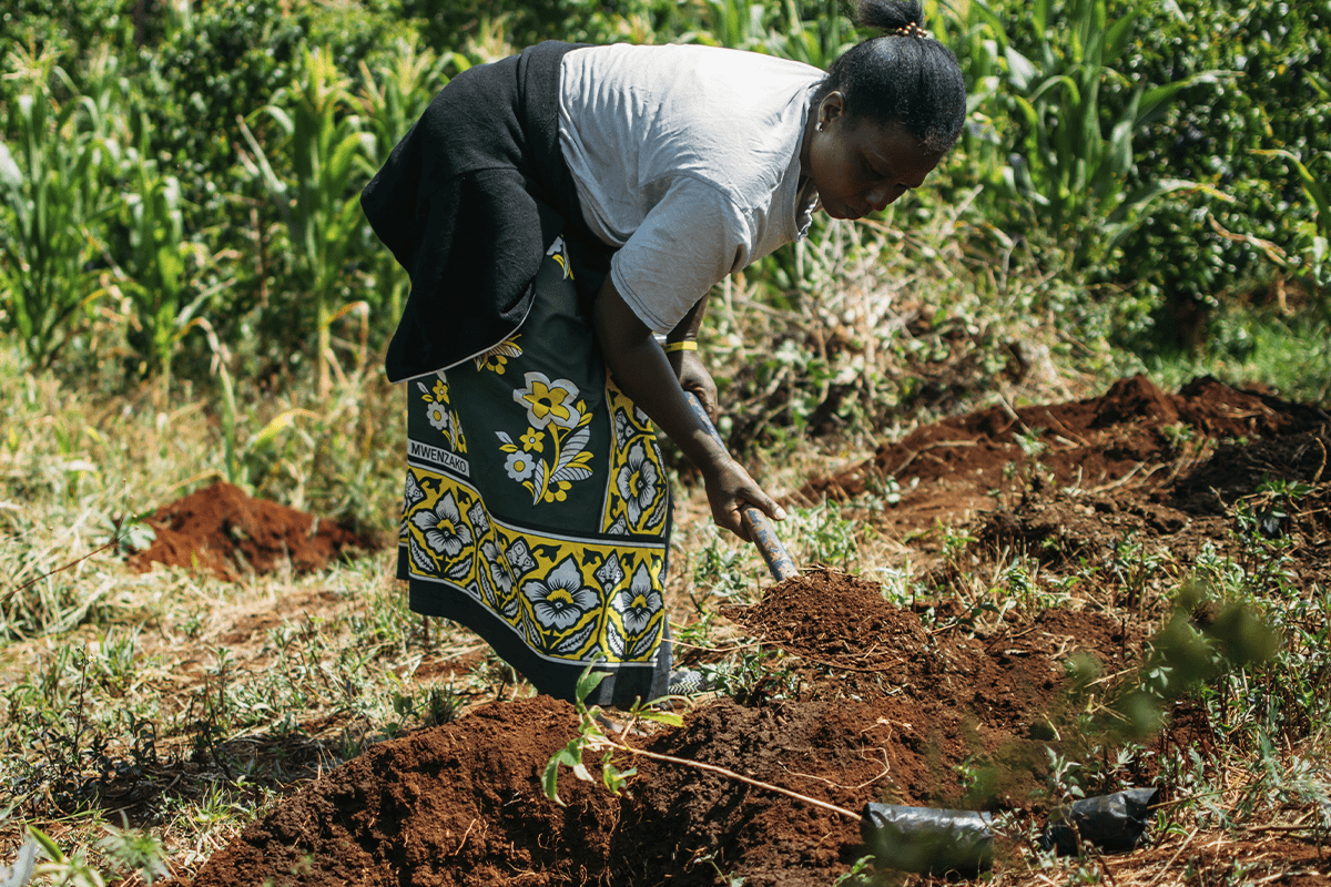 Image showcasing Collective R&D: A Practice Guide For Sustainable Development