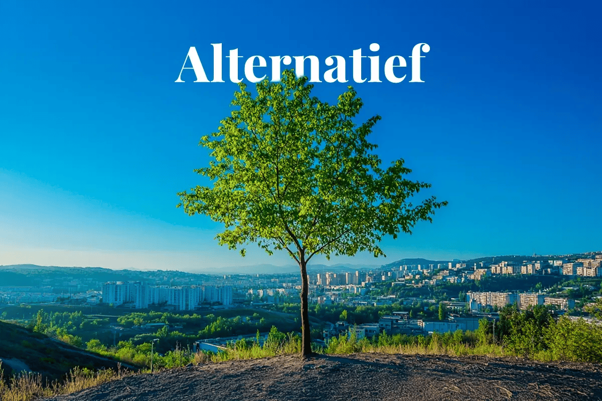 Waarom u in natuurprojecten zou moeten investeren, in plaats van in vastgoed_Landscape view of a young deciduous tree on a hilltop, overlooking a town with modern buildings_visual 1