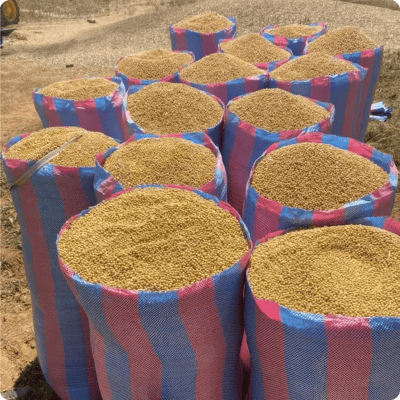 Walewale Climate-Smart Rice Milling Project_gallery 01