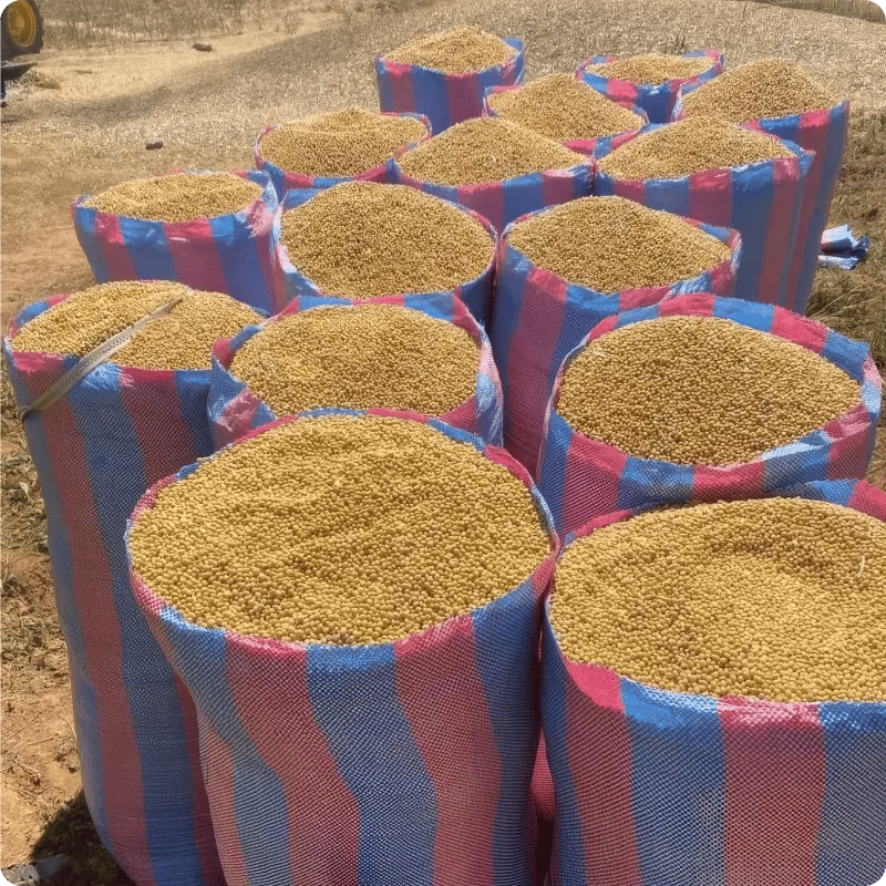 Walewale Climate-Smart Rice Milling Project_gallery 01