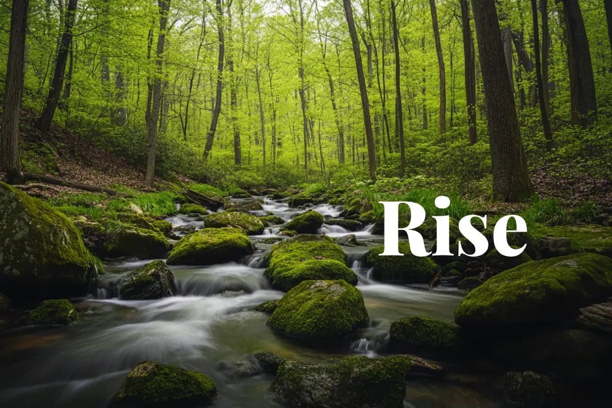 Washington carbon offsets set to break $100_t by 2030s_Landscape view of Rock Creek Park, a vast urban park in Washington, DC_visual 1
