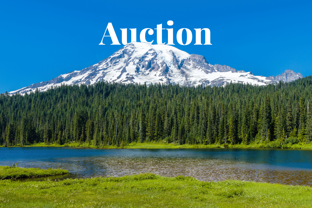 Washingtons emergency carbon auction_Panorama landscape in Mount Rainier National Park_visual 1