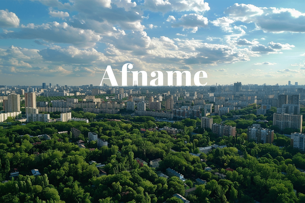 Wat is de CO2-prestatieladder__Aerial view of a city surrounded by a forest_visual 1