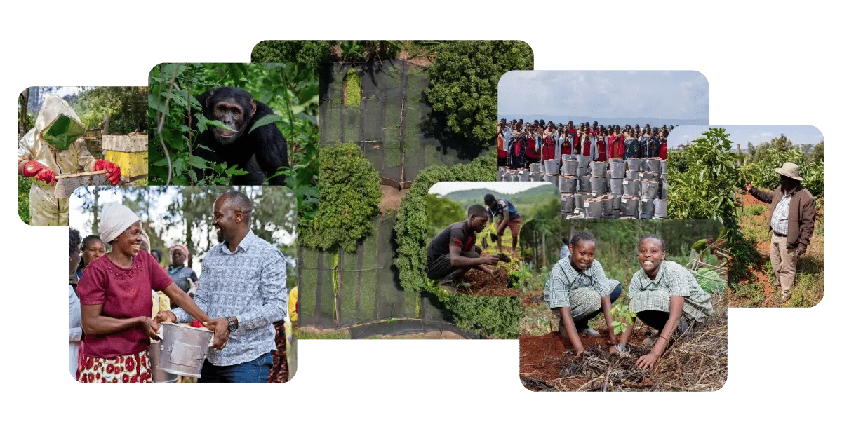 Wat is een ecologische voetafdruk en hoe verkleint u hem_visual 5