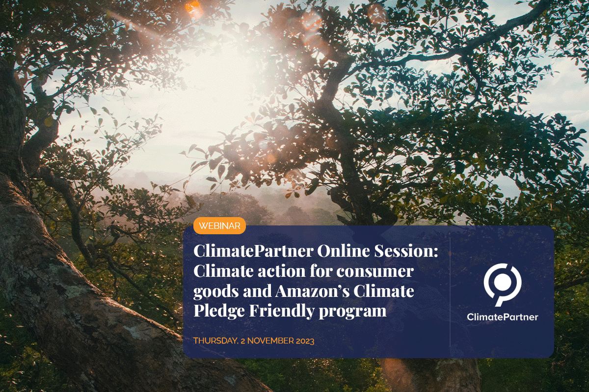 Webinar ClimatePartner, Climate action for consumer goods and Amazon’s Climate Pledge Friendly program_Amazon jungle_visual 1 (1)