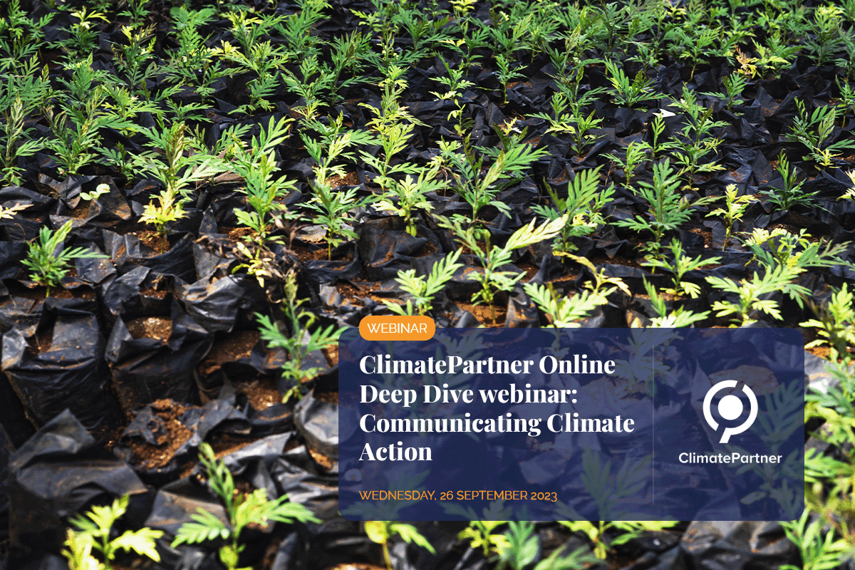Webinar ClimatePartner, Communicating Climate Action_view of young tree seedlings_visual 1