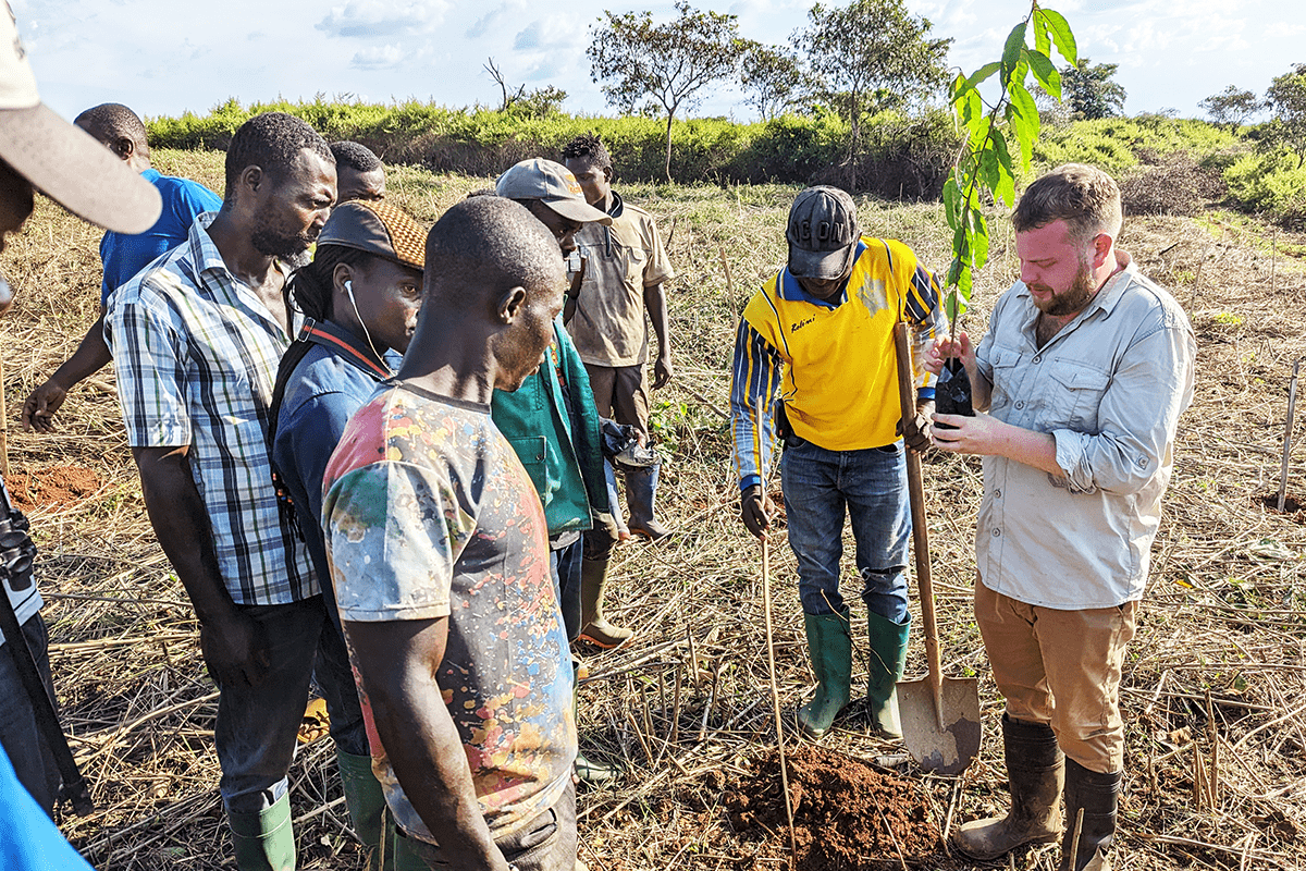 What are the benefits of the booming carbon credits market-1