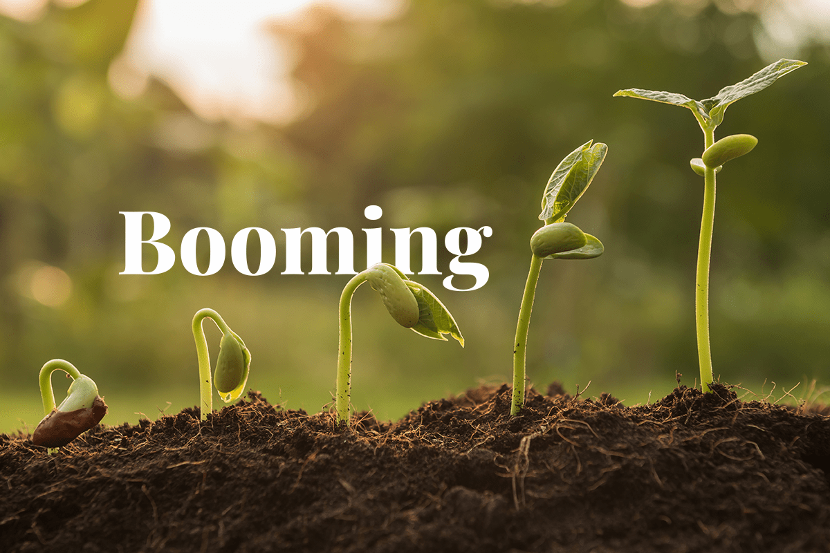 What are the benefits of the booming carbon credits market