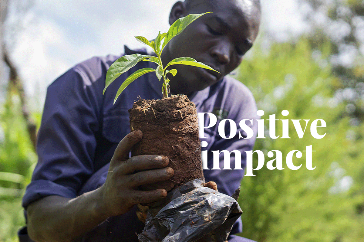 What is a carbon footprint_Close-up of a local man working in a tree nursery_visual 1