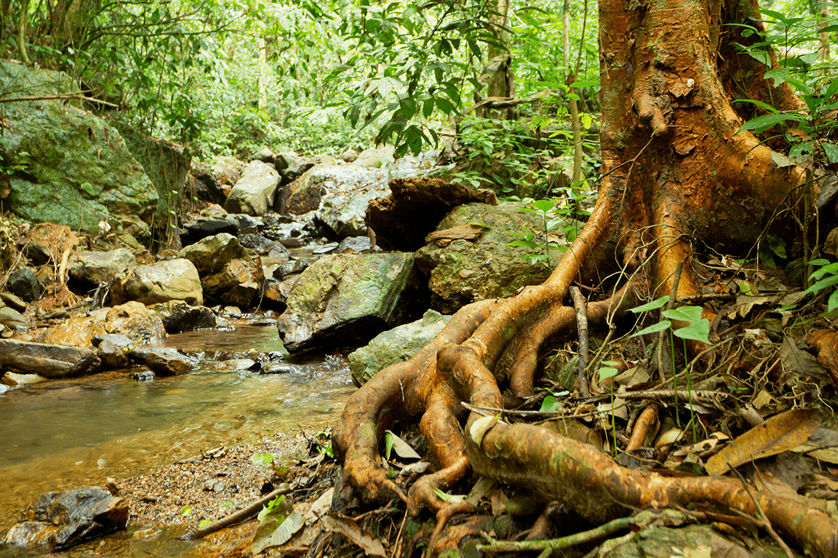 Sustainable land management, sustainable agriculture