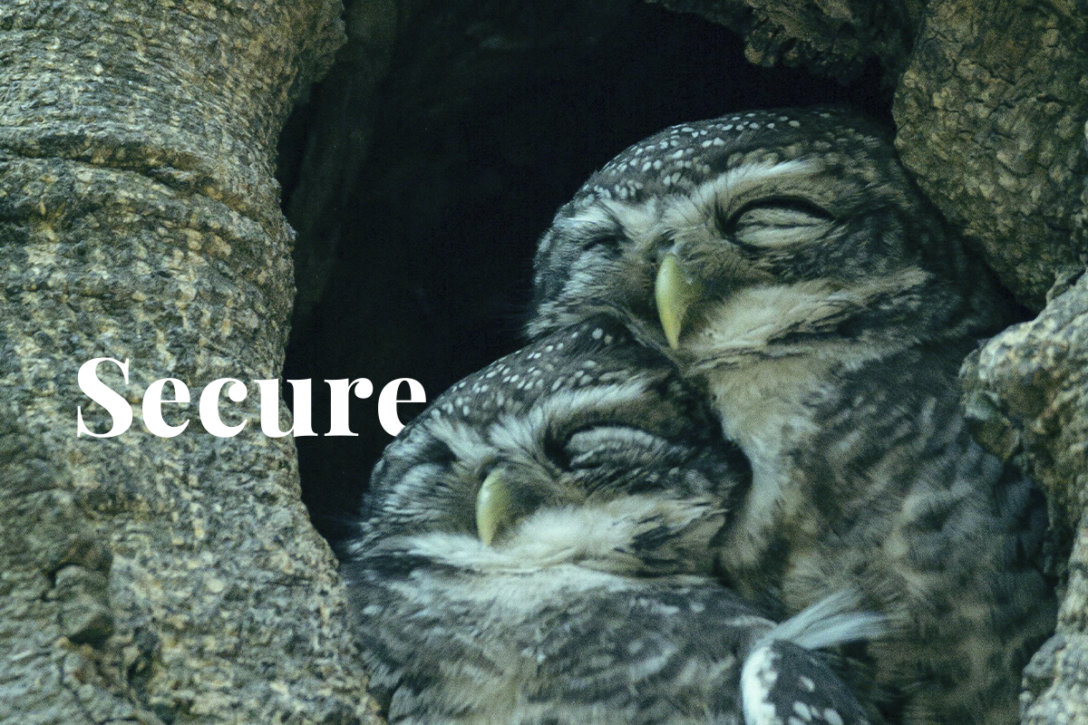 What is the SEC, and how does it impact the environment